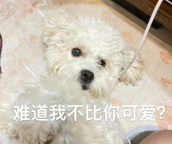 开云体育(中国)官方网站这画面谁看了不心动？一位网友被它同情的景色打动-开云平台网站皇马赞助商| 开云平台官方ac米兰赞助商 最新官网入口